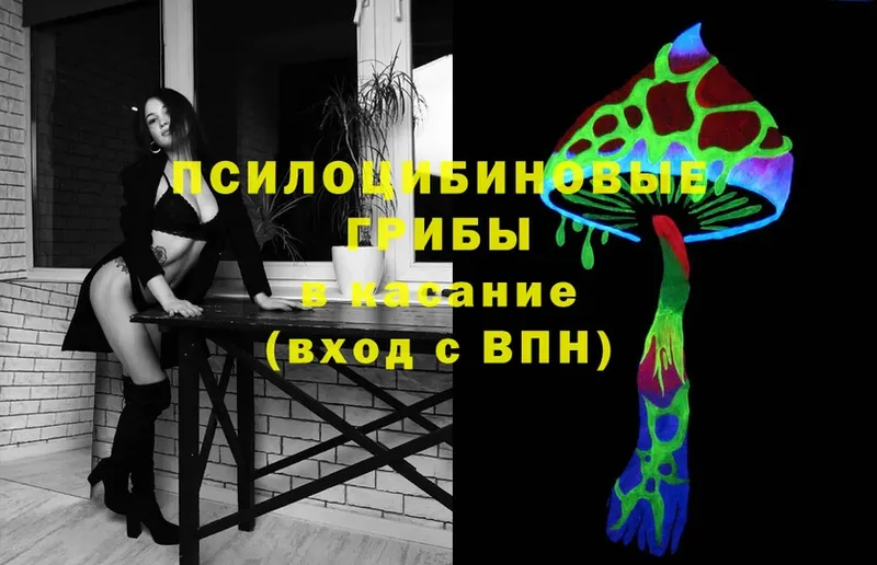 Псилоцибиновые грибы Magic Shrooms  Владивосток 